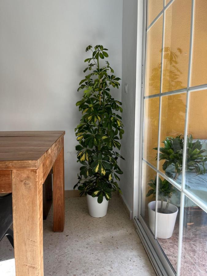 Apartamento La Biznaga Malaga Bagian luar foto