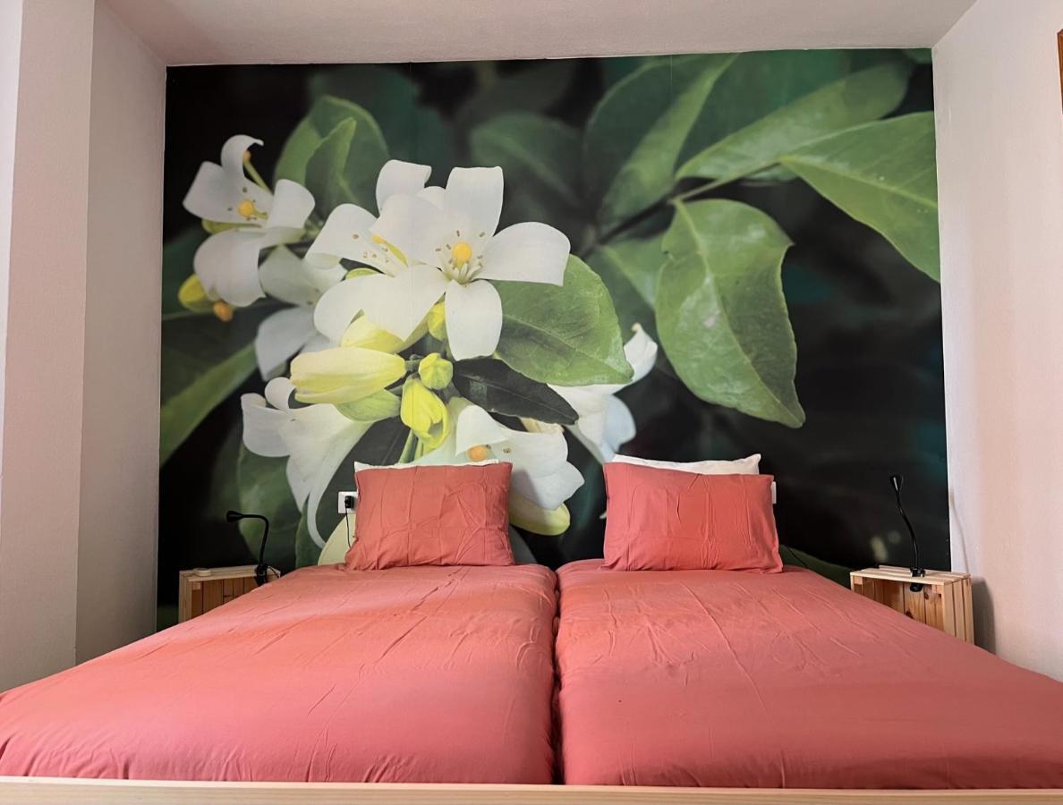 Apartamento La Biznaga Malaga Bagian luar foto
