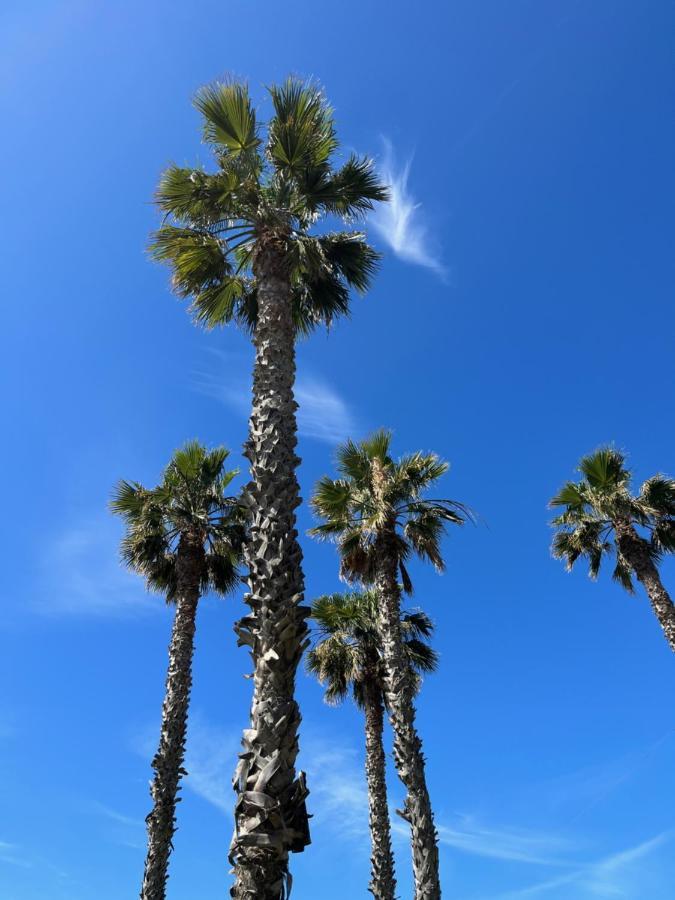 Apartamento La Biznaga Malaga Bagian luar foto